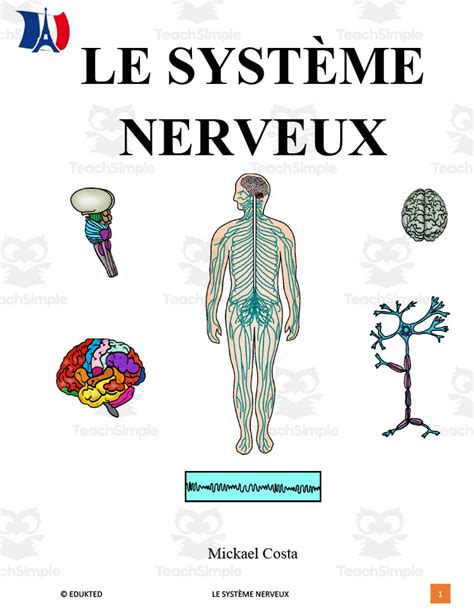 nerves traduction|nerves in french translation.